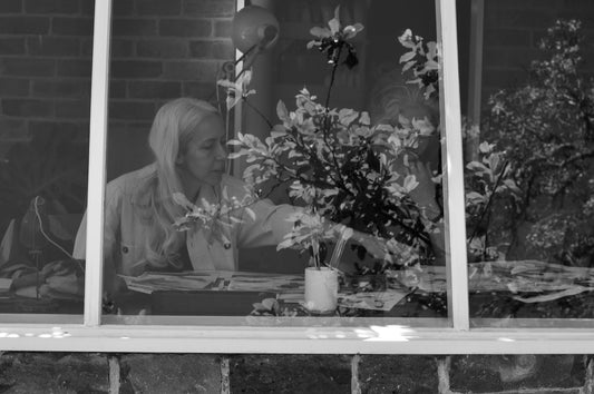 Welcome Walker & Bing!