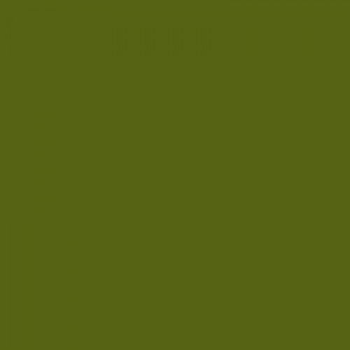Closet: Bilberry Top